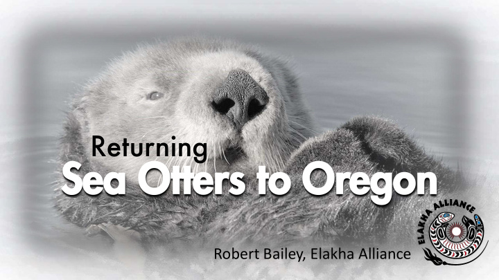 sea otters to oregon