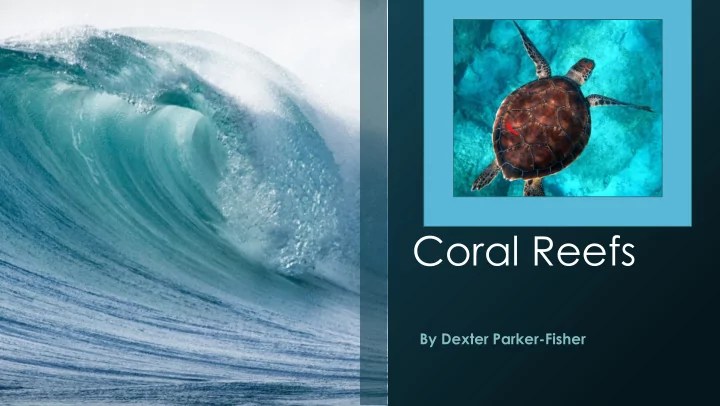 coral reefs