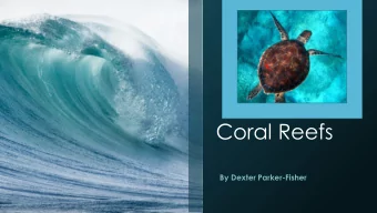 Coral Reefs  By Dexter Parker-Fisher  What is a coral reef?  A coral reef  is an underwater