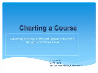 Supporting the voices of the small, engage effectively in  the High Level Political Forum