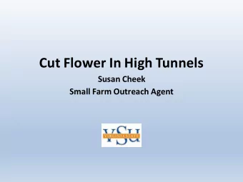 Cut Flower In High Tunnels  Susan Cheek  Small Farm Outreach Agent  Cut Flowers:  Field vs. High