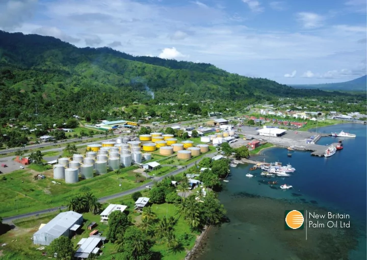 new britain palm oil ltd