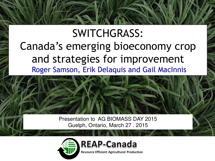 switchgrass canada s emerging bioeconomy crop