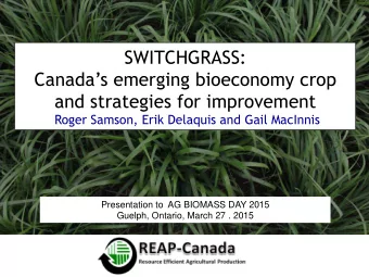 SWITCHGRASS:  Canadas emerging bioeconomy crop and strategies for improvement  Roger Samson,