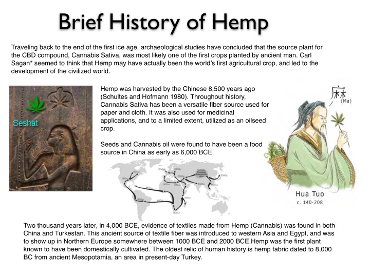 brief history of hemp