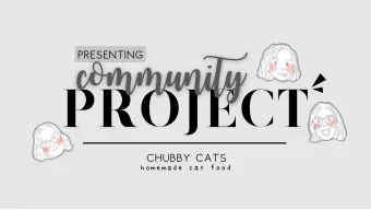 project  Chubby cats  homemade cat food  CRITERION A  investigating  a prequel to the madness  Our
