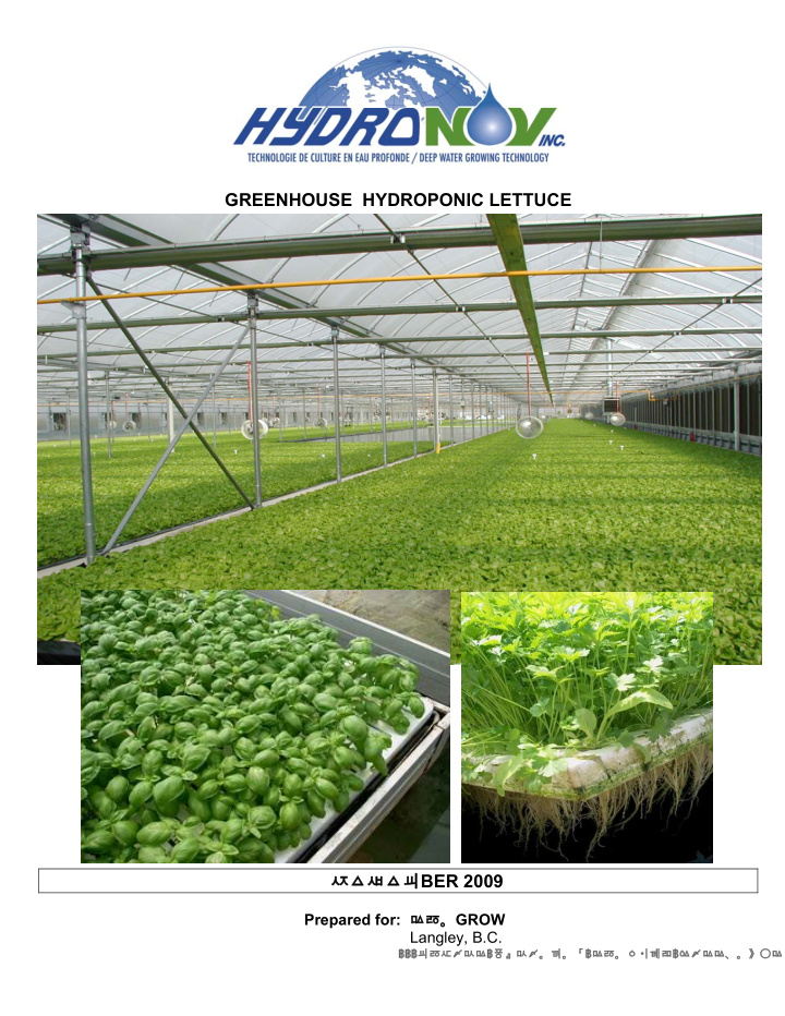 greenhouse hydroponic lettuce ber 2009 prepared for grow