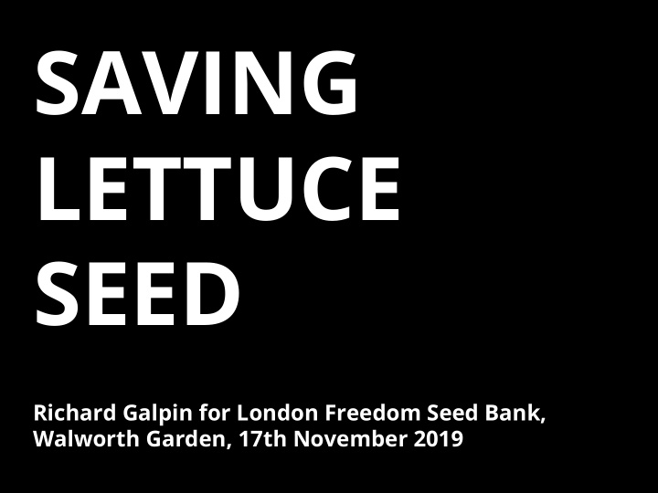 saving lettuce seed
