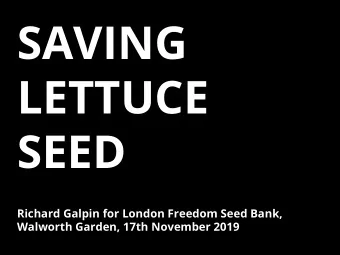 SAVING  LETTUCE  SEED  Richard Galpin for London Freedom Seed Bank,  Walworth Garden, 17th November