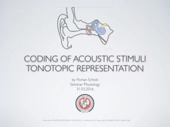 CODING OF ACOUSTIC STIMULI  TONOTOPIC REPRESENTATION  by Florian Scholz  Seminar Physiology