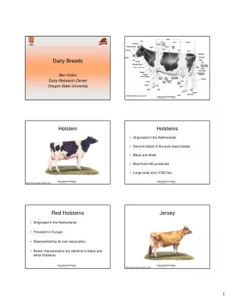 Dairy Breeds  Ben Krahn  Dairy Research Center  Oregon State University  www.holsteinusa.com
