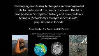 Developing monitoring techniques and management  tools to understand the conflict between the blue