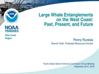 Large Whale Entanglements  on the West Coast:  Past, Present, and Future  West Coast  Region  Penny