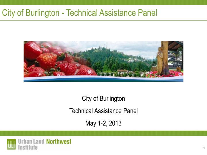 city of burlington technical assistance panel