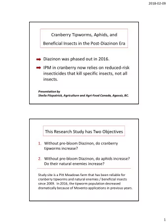 Cranberry Tipworms, Aphids, and  Beneficial Insects in the Post-Diazinon Era  Diazinon was phased