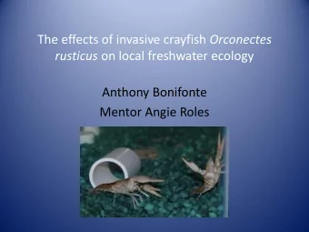 rusticus on local freshwater ecology  Anthony Bonifonte  Mentor Angie Roles  Rusty native range