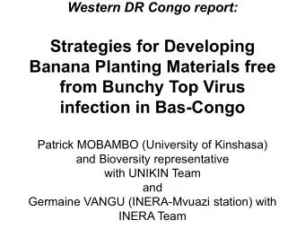 Strategies for Developing  Banana Planting Materials free  from Bunchy Top Virus  infection in