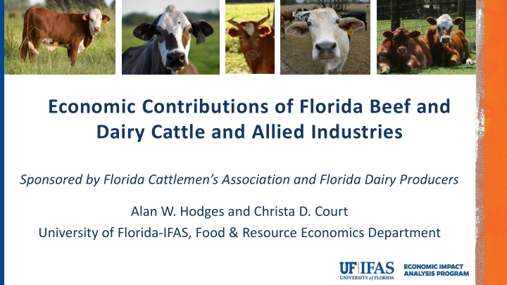 economic contributions of florida beef and