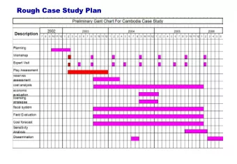 Rough Case  Rough Case Study Plan  Study Plan  Responsible  NORAD  institutions  Funding