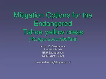 Mitigation Options for the  Endangered  Tahoe yellow cress  (Rorippa subumbellata)  Alison E.
