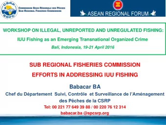 Summary  1. Context  General context of Fisheries in the area of SRFC  Geostrategic context