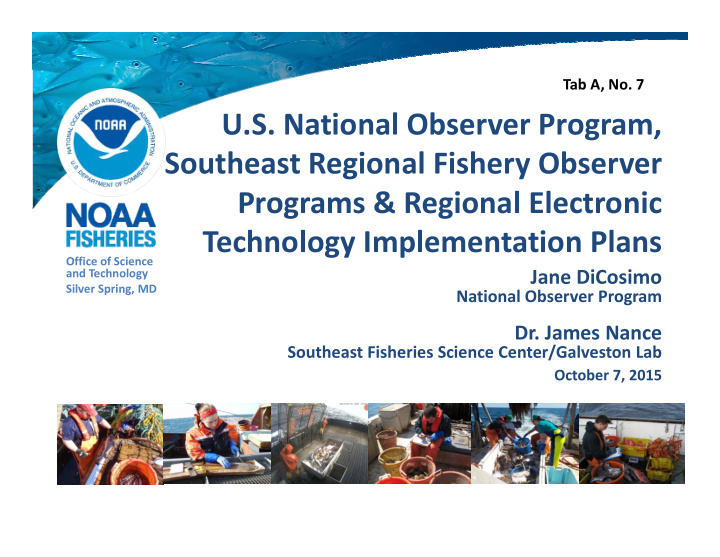 u s national observer program southeast regional fishery