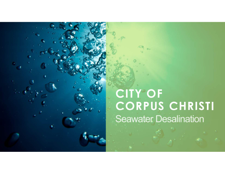 city of corpus christi virtual meeting logistics