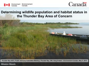 Determining wildlife population and habitat status in  the Thunder Bay Area of Concern  Thunder Bay