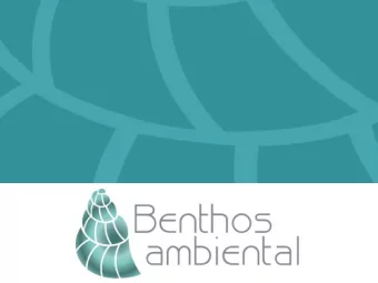 Company Overview  Specialized in marine and estuarine environments  Social-environmental projects