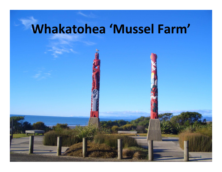 whakatohea mussel farm