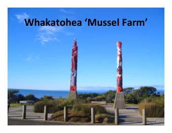 Whakatohea Mussel Farm    Eastern Seafarms Water space  3,800  hectares  40 meters