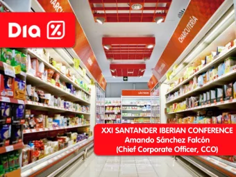 Amando Snchez Falcn  (Chief Corporate Officer, CCO)            Summary  Company