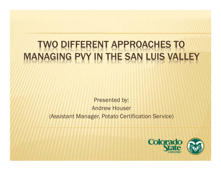 two different approaches to managing pvy in the san luis
