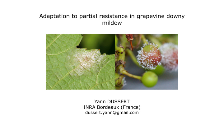 adaptation to partial resistance in grapevine downy mildew