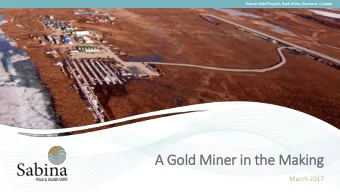 A Gold Miner in the Making  March 2017  2  Forw  rward Looking In  Information  Statements relating