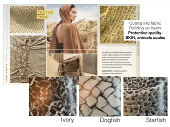 Ivory  Dogfish  Starfish  Fabric Manipulation:  Representing the structure  the cell research Emily