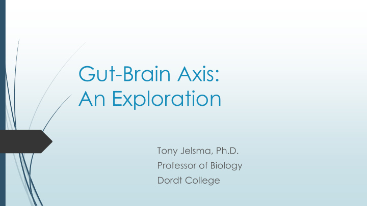 gut brain axis an exploration