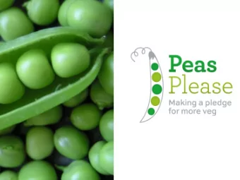 Wales fruit and vegetable deficit  and what to do about it  Amber Wheeler  University of South