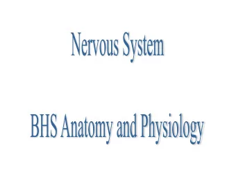 Nervous System  I.  Two parts  A.  Central Nervous system  1.  Brain  2.  Spinal Cord  B.