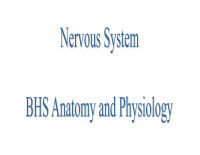 nervous system i two parts a central nervous system 1