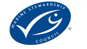GULF MENHADEN  FEB 9  Signed and submitted contract with SAI to conduct Pre and Full Assessments