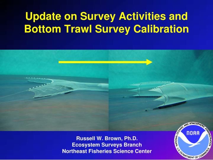 update on survey activities and bottom trawl survey