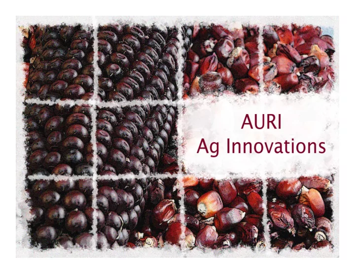 agricultural utilization research institute outline