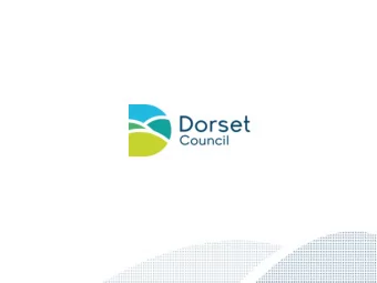 Audit &amp; Governance Committee  Dedicated Schools Grant (DSG) 14 th October 2019  Paul Ackrill