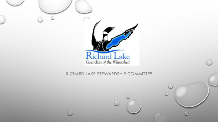 richard lake stewardship committee v outline the