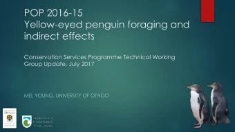 POP 2016-15  Yellow-eyed penguin foraging and  indirect effects  Conservation Services Programme