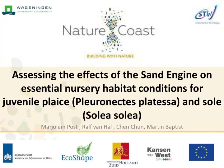 assessing the effects of the sand engine on essential