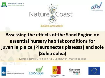 Assessing the effects of the Sand Engine on  essential nursery habitat conditions for  juvenile
