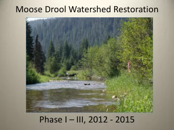 Moose Drool Watershed Restoration Phase I  III, 2012 - 2015  Restoration  Reestablishment of