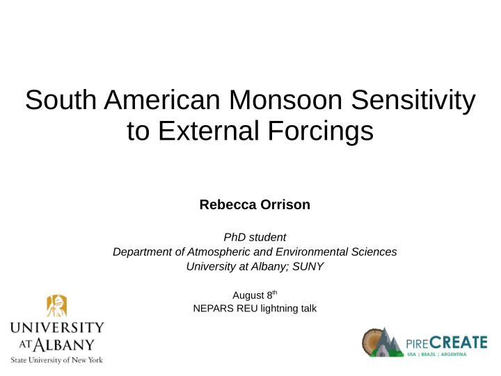 south american monsoon sensitivity to external forcings